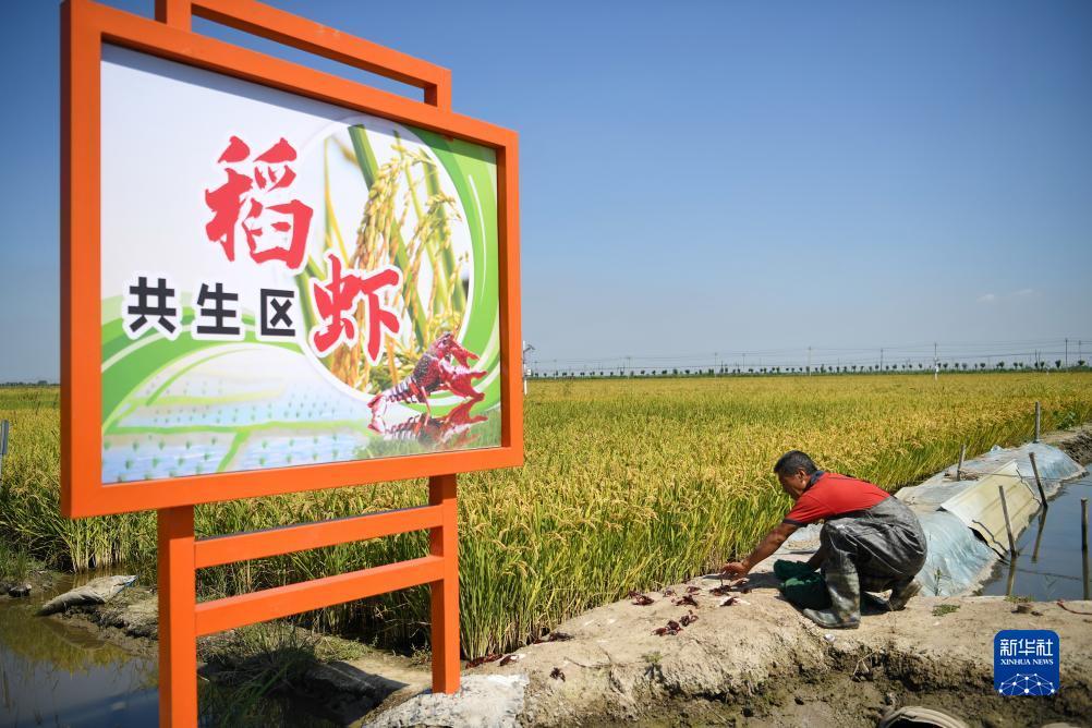 澳门威尼斯软件